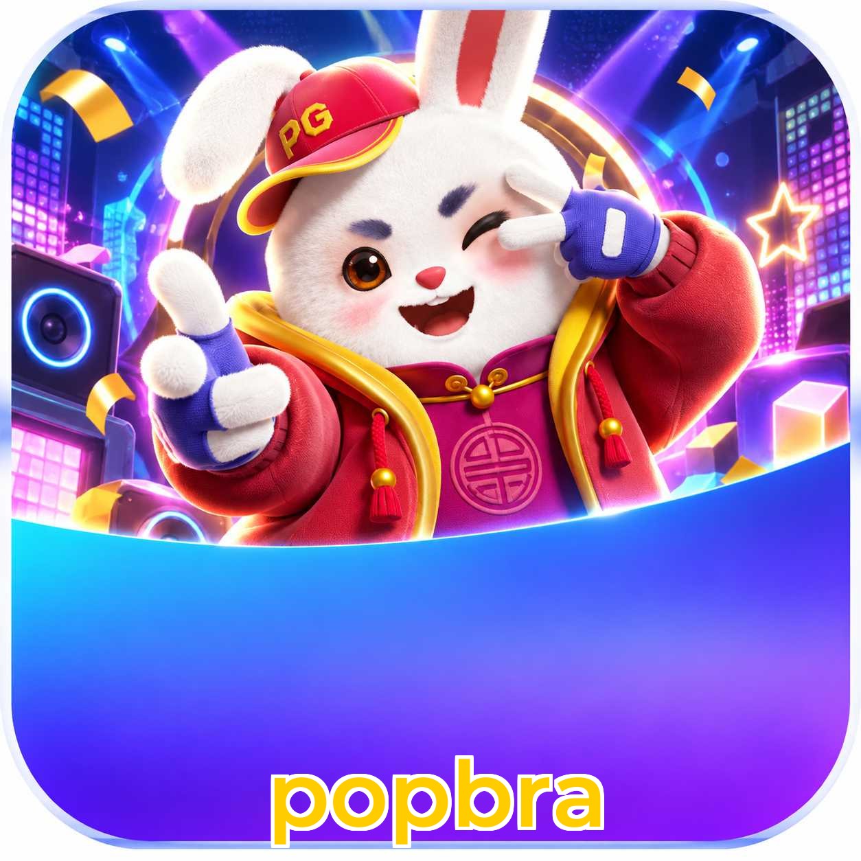 popbra Security Analysis