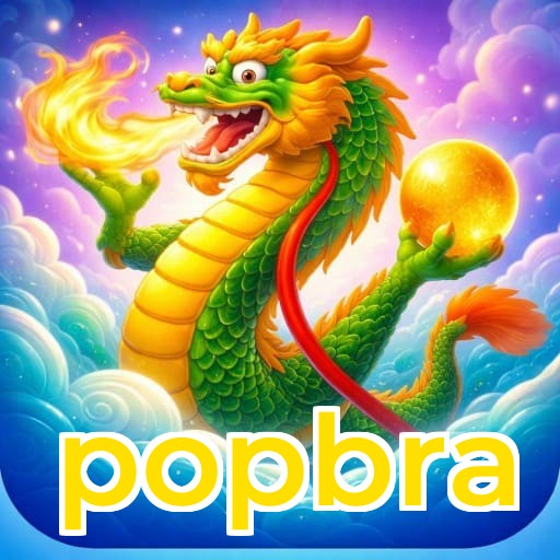 popbra segurança SSL 256-bit