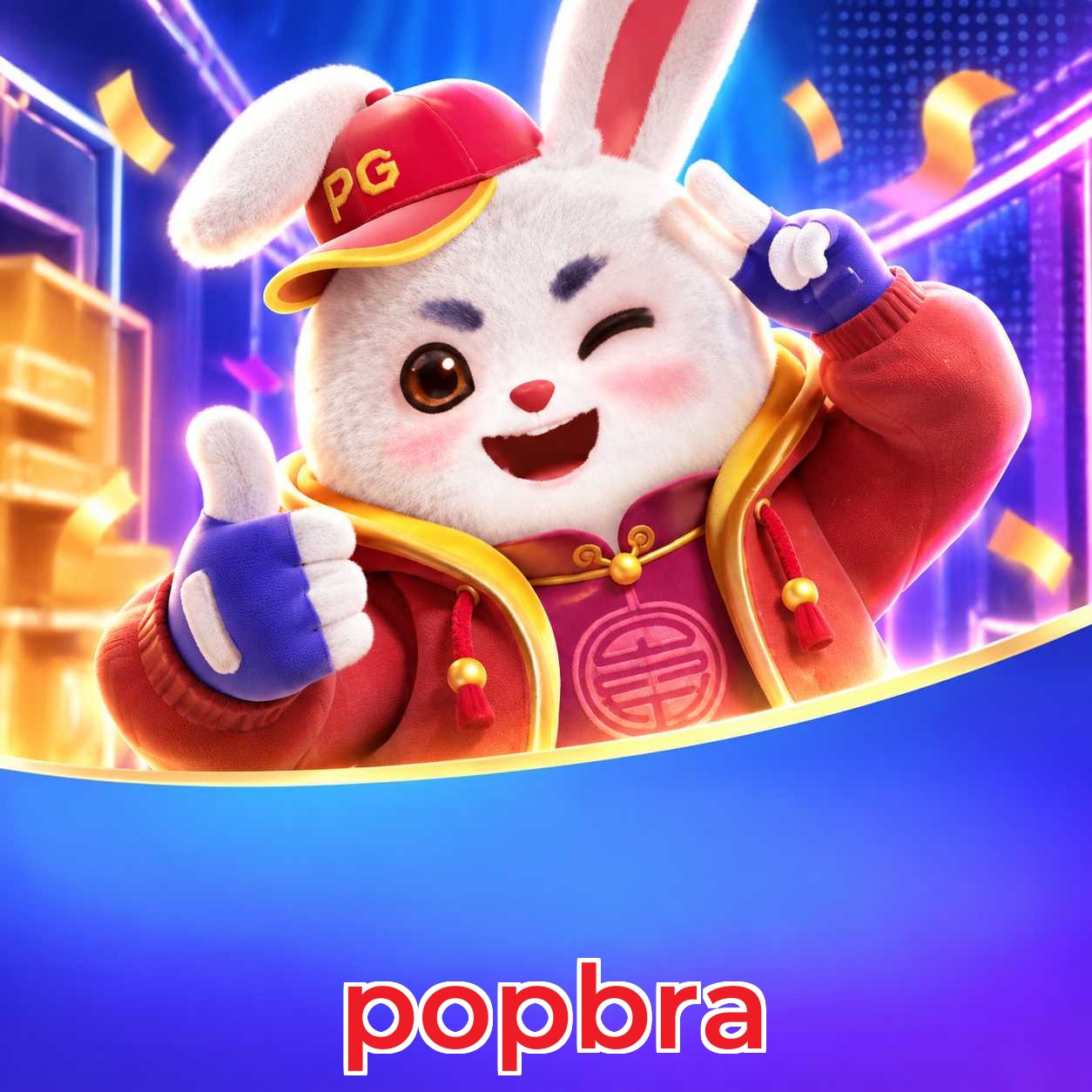 popbra Plataforma FAQ