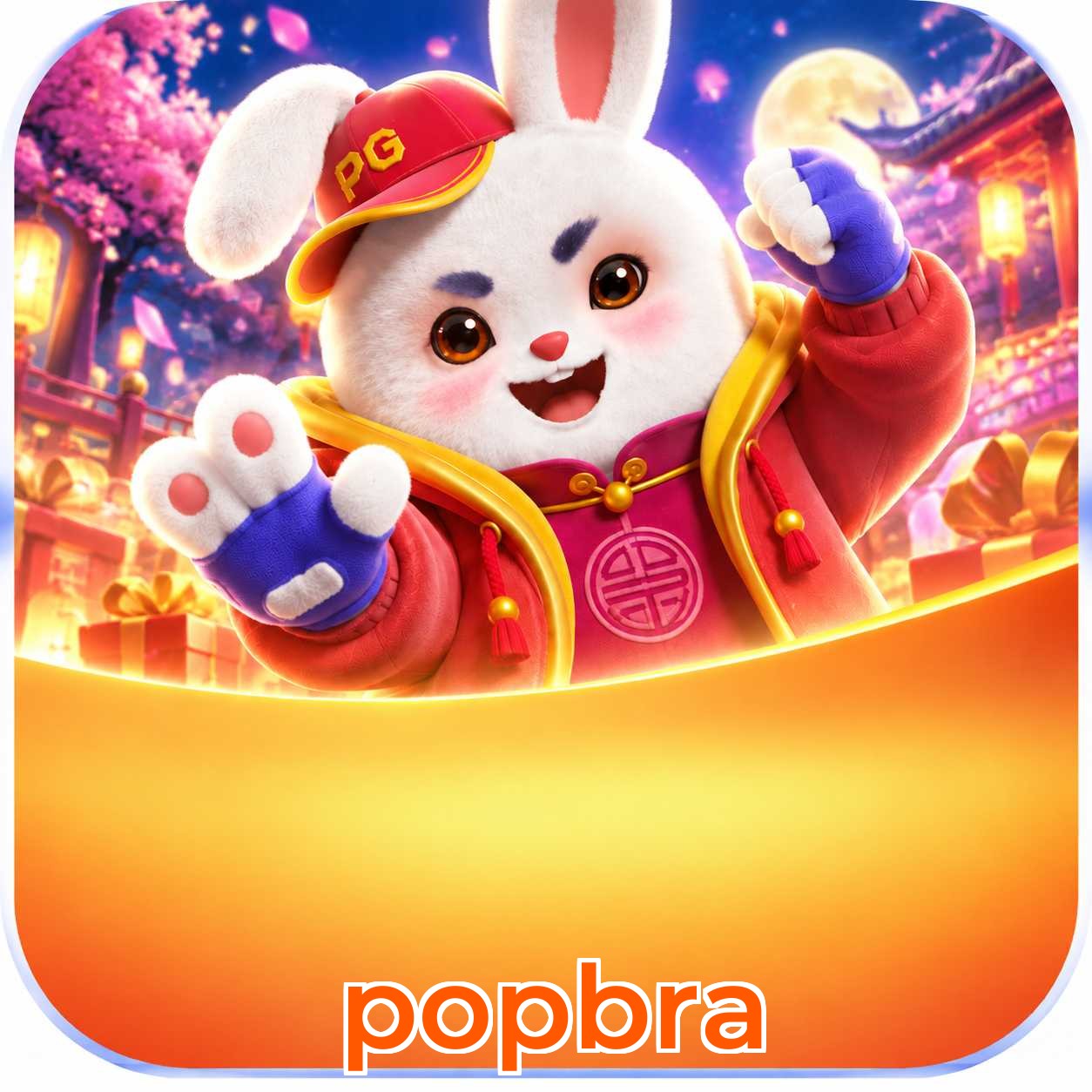 popbra Security