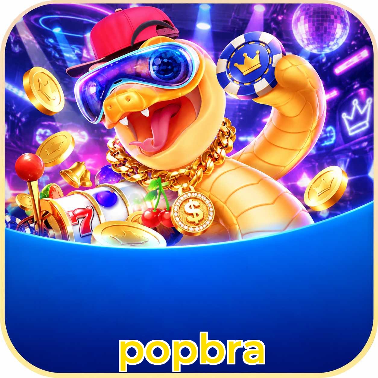 popbra Suporte